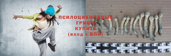 винт Зерноград