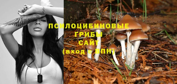 прущие крисы Инсар
