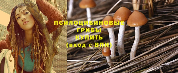 МДПВ Зеленодольск